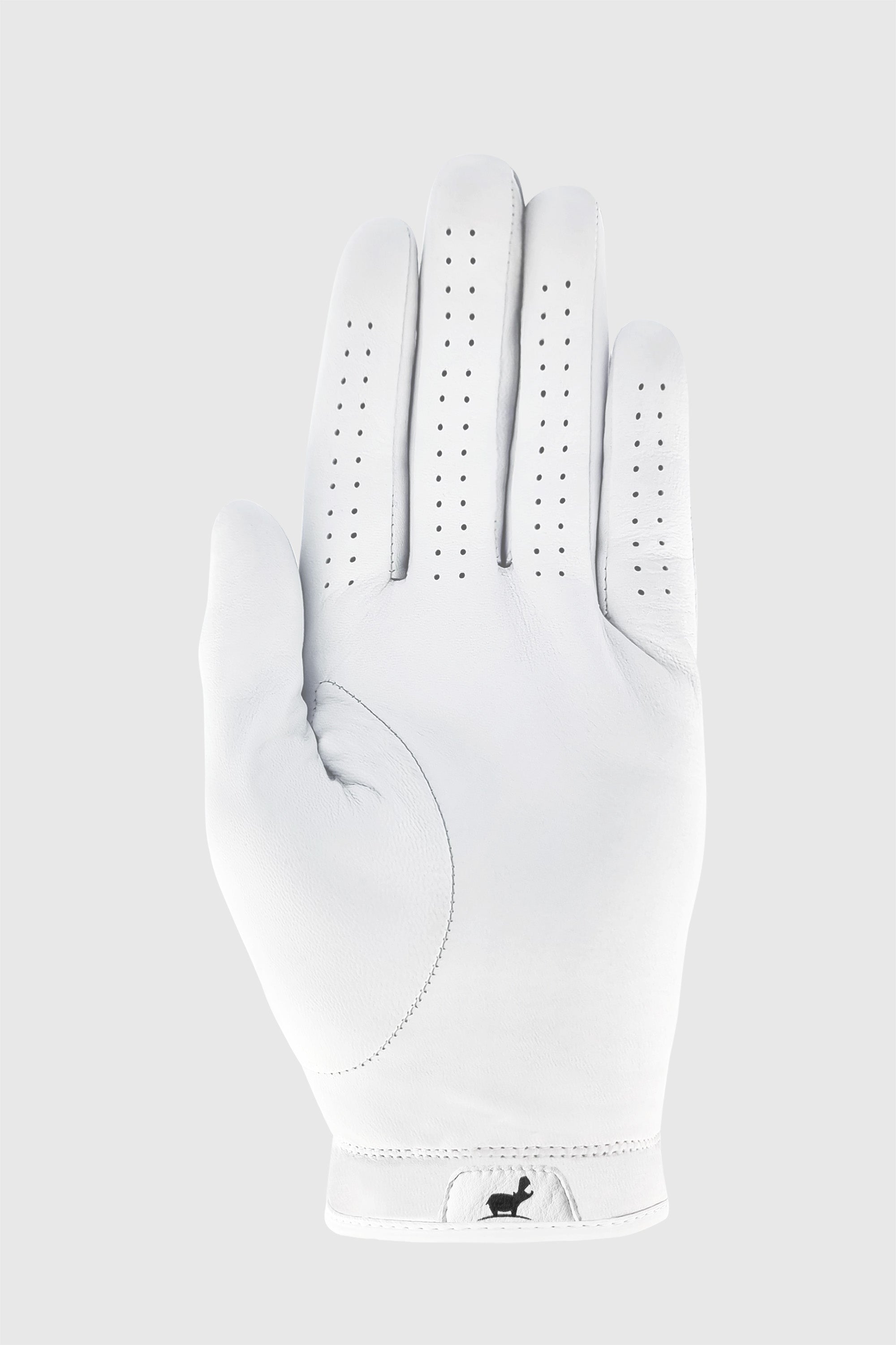 GUANTI ALEXペッカリー手袋Made in Italy 8 Century Kickboxing | Strive Washable Boxing Glove